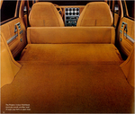 1980 Pontiac-11